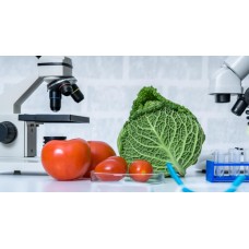Как измерить содержание нитратов в овощах и фруктах?